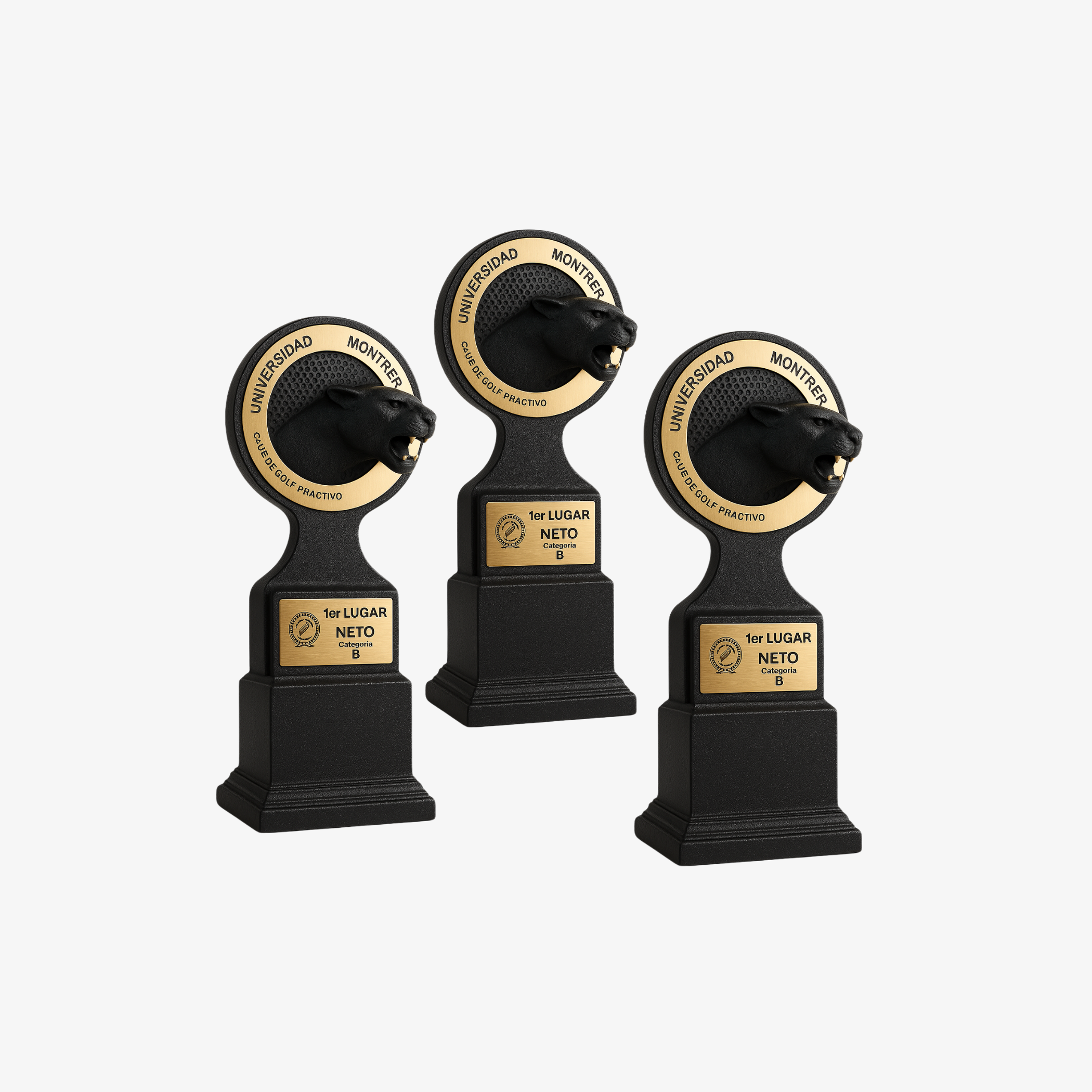 Trofeos institucionales Universidad Montrer